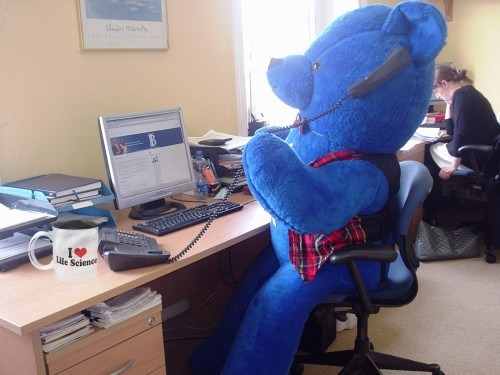 What’s Public Liability Insurance ? A little guidance !