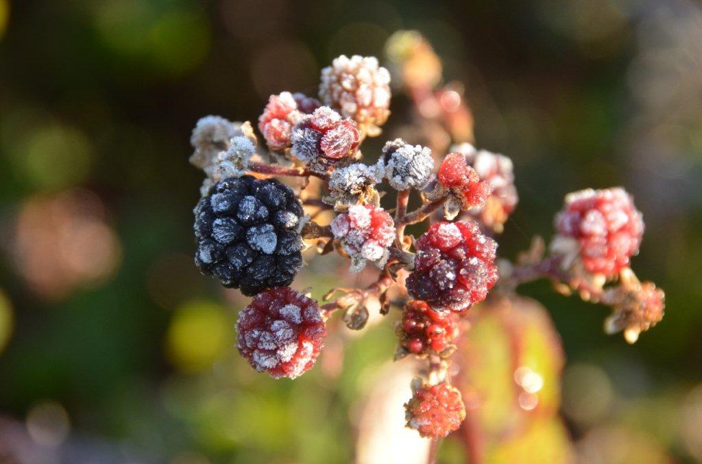 Environmental Liability Insurance Burke Insurances Ltd Galway